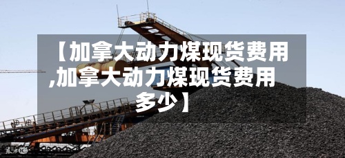 【加拿大动力煤现货费用,加拿大动力煤现货费用多少】-第2张图片