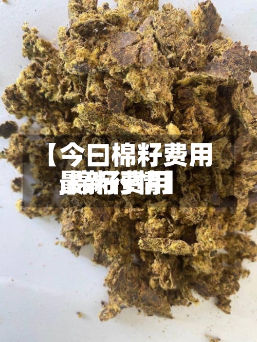 【今曰棉籽费用,棉籽费用最新行情】-第2张图片