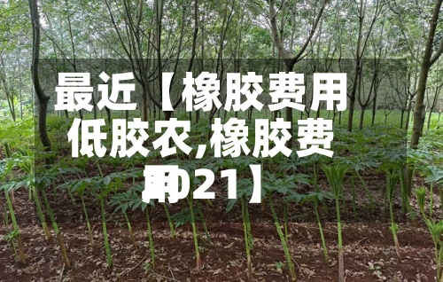 最近【橡胶费用低胶农,橡胶费用2021】-第2张图片