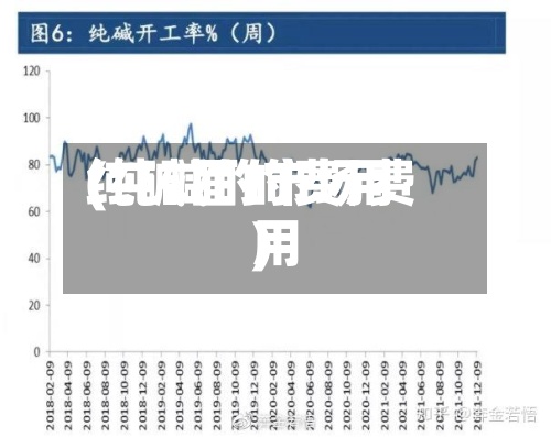 纯碱面的费用(纯碱的市场费用)-第1张图片
