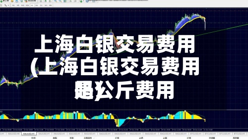 上海白银交易费用(上海白银交易费用是公斤费用吗)