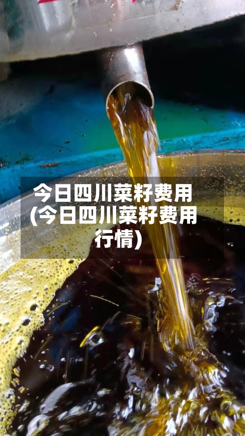今日四川菜籽费用(今日四川菜籽费用行情)-第3张图片