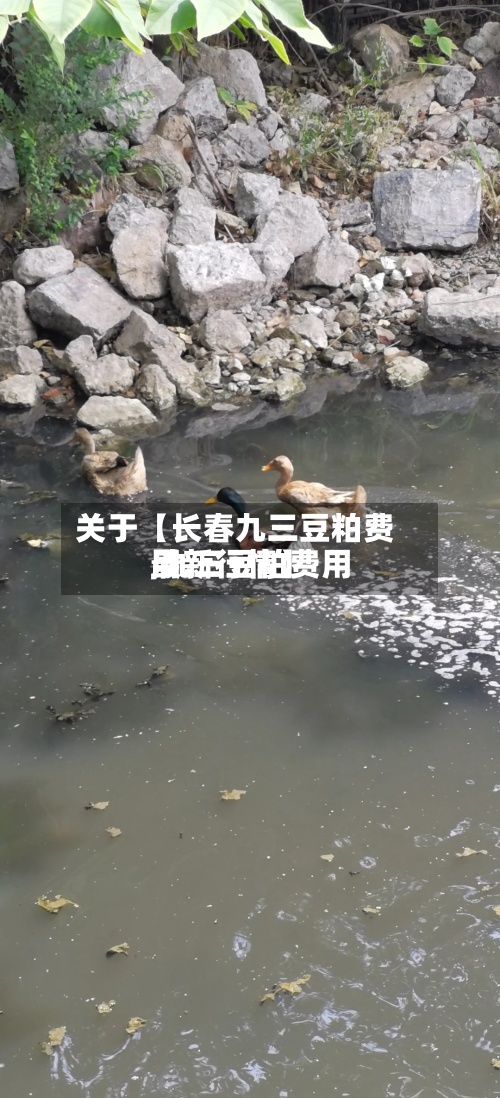 关于【长春九三豆粕费用,九三豆粕费用最新行情】-第3张图片