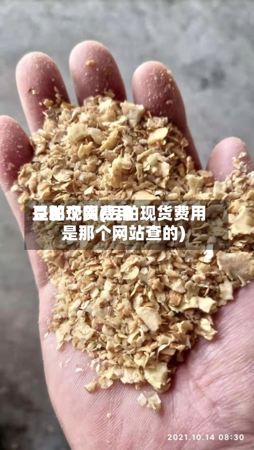 豆粕现货费用是那个网(豆粕现货费用是那个网站查的)
