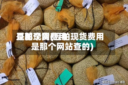豆粕现货费用是那个网(豆粕现货费用是那个网站查的)-第2张图片