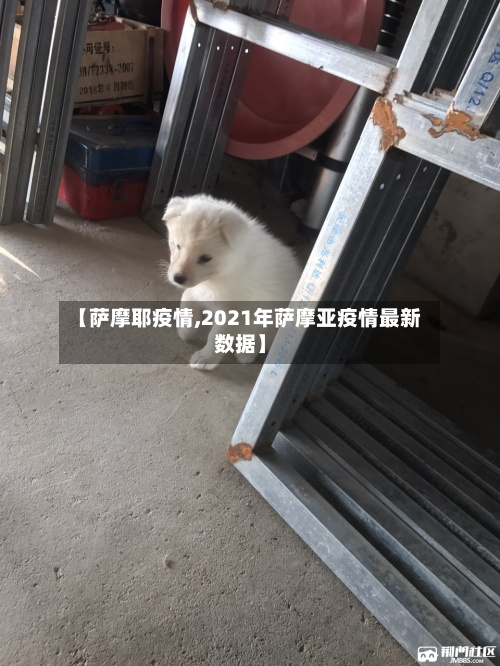 【萨摩耶疫情,2021年萨摩亚疫情最新数据】-第1张图片