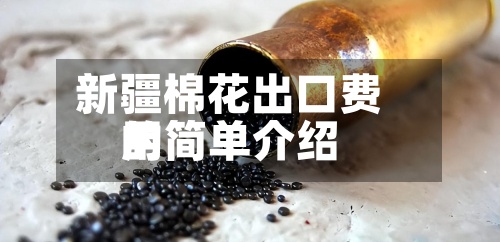 新疆棉花出口费用的简单介绍-第2张图片