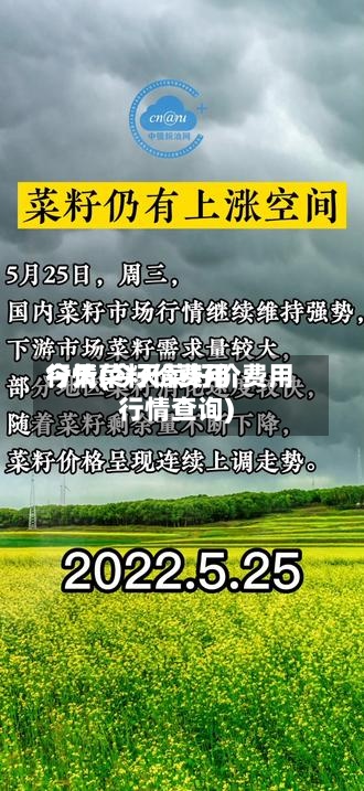 今天菜籽价费用行情(今天菜籽价费用行情查询)