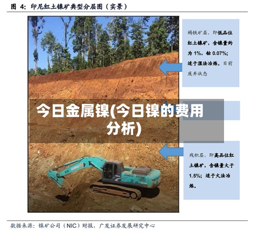 今日金属镍(今日镍的费用分析)-第3张图片