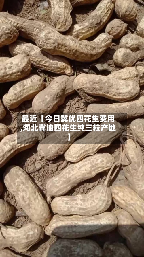 最近【今日冀优四花生费用,河北冀油四花生纯三粒产地】-第2张图片