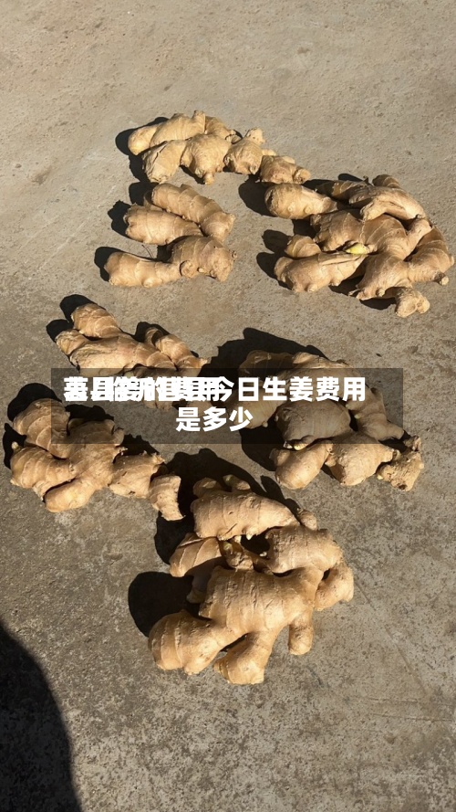 莒县姜的费用表/临沂莒县今日生姜费用是多少-第3张图片