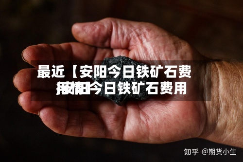 最近【安阳今日铁矿石费用,安阳今日铁矿石费用行情】-第3张图片