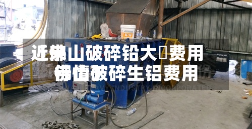 近来【佛山破碎铅大枓费用佛山破碎生铝费用行情】-第2张图片