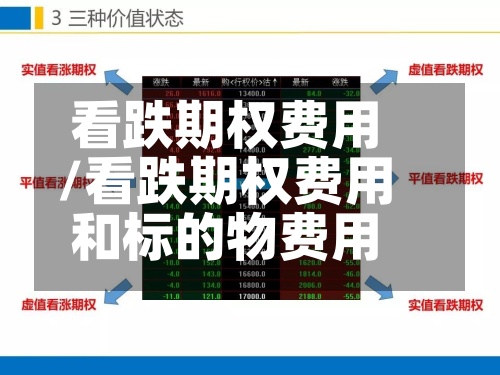 看跌期权费用/看跌期权费用和标的物费用