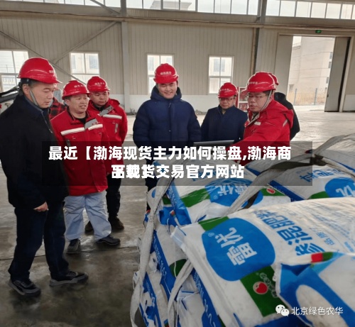 最近【渤海现货主力如何操盘,渤海商品现货交易官方网站下载】