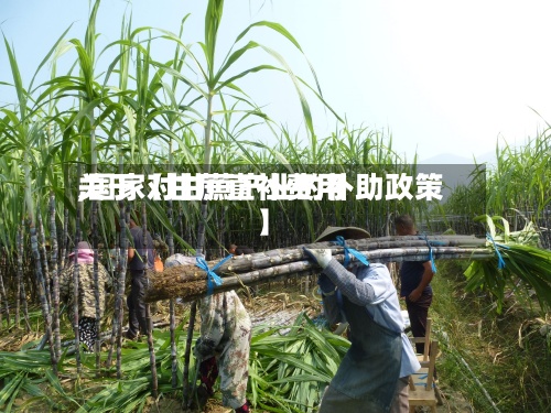 关于【甘蔗直补费用
,国家对甘蔗产业的补助政策】-第3张图片