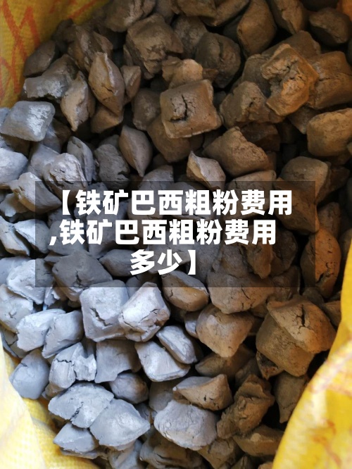 【铁矿巴西粗粉费用,铁矿巴西粗粉费用多少】-第2张图片