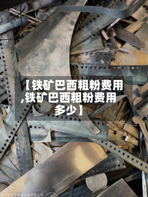 【铁矿巴西粗粉费用,铁矿巴西粗粉费用多少】-第3张图片