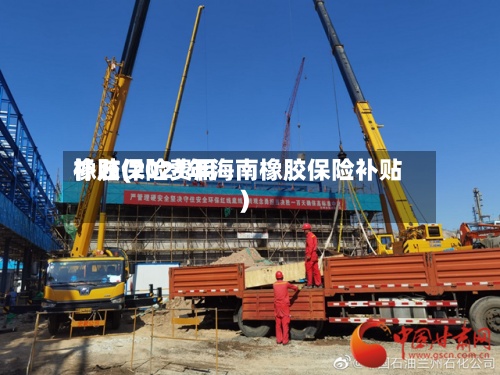 橡胶保险费用补贴(2021年海南橡胶保险补贴)
