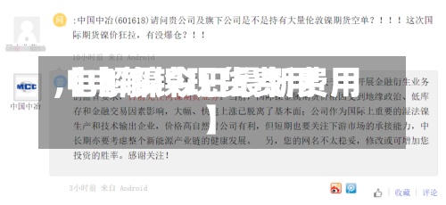 【电解镍现货费用,电解镍今日最新费用】-第3张图片