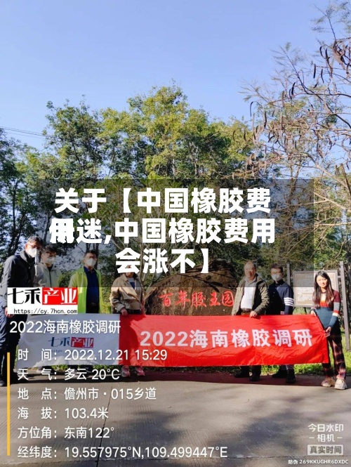 关于【中国橡胶费用低迷,中国橡胶费用会涨不】