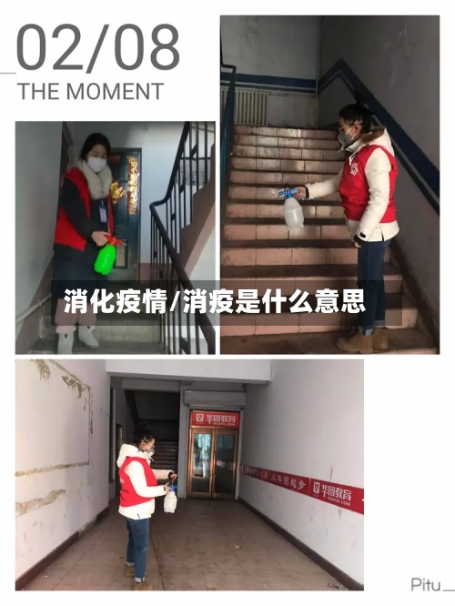 消化疫情/消疫是什么意思
