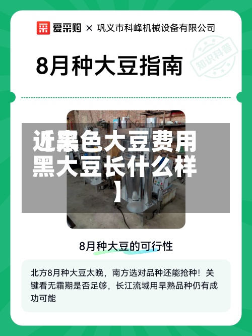 近来【黑色大豆费用黑大豆长什么样】