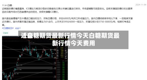 近来【白糖期货最新行情今天白糖期货最新行情今天费用】