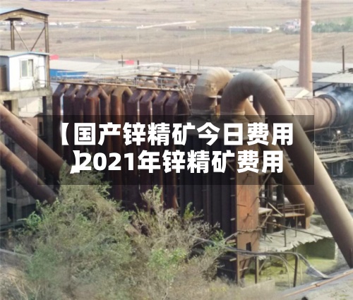 【国产锌精矿今日费用,2021年锌精矿费用】-第3张图片