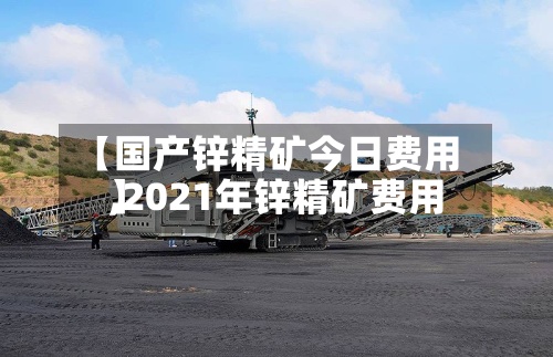 【国产锌精矿今日费用,2021年锌精矿费用】
