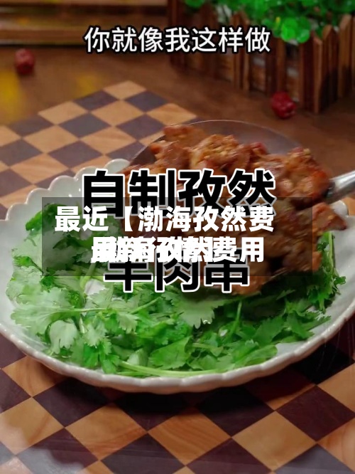 最近【渤海孜然费用,渤海孜然费用最新行情】-第3张图片