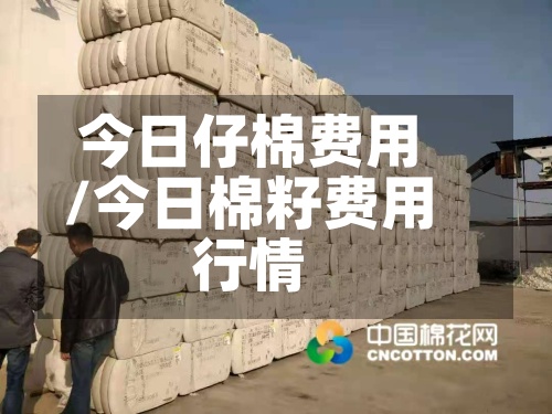 今日仔棉费用
/今日棉籽费用
行情