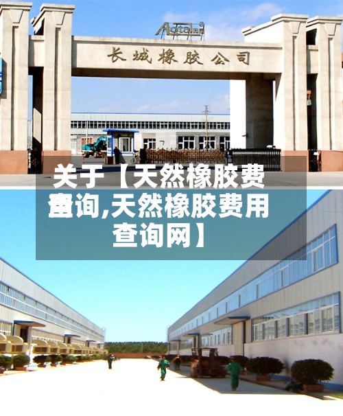 关于【天然橡胶费用查询,天然橡胶费用查询网】-第2张图片