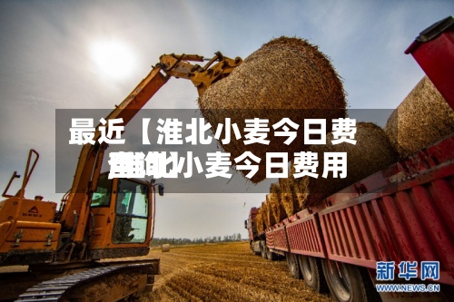 最近【淮北小麦今日费用,淮北小麦今日费用查询】-第3张图片