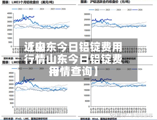 近来【山东今日铝锭费用行情山东今日铝锭费用行情查询】-第2张图片