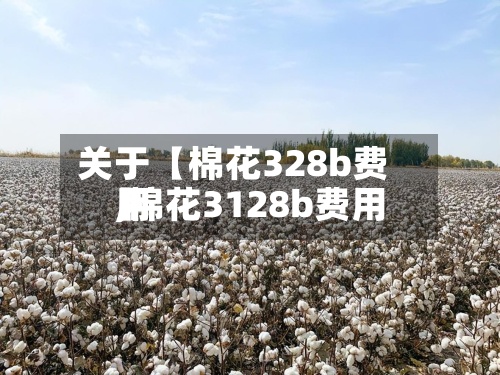 关于【棉花328b费用,棉花3128b费用】-第2张图片
