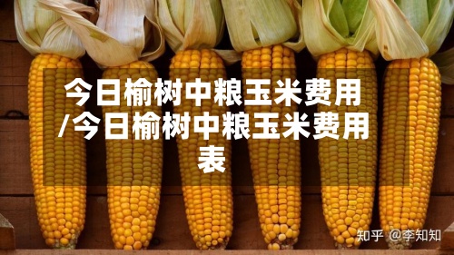 今日榆树中粮玉米费用/今日榆树中粮玉米费用表-第2张图片