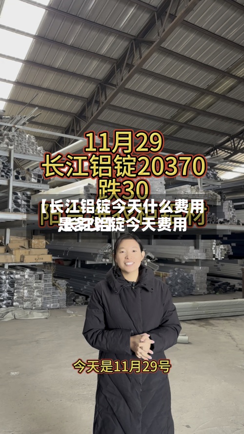 【长江铝锭今天什么费用,长江铝锭今天费用是多少】-第3张图片