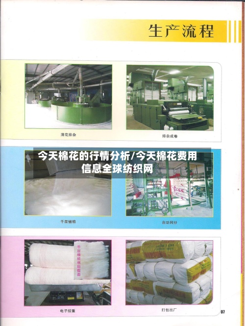 今天棉花的行情分析/今天棉花费用信息全球纺织网-第2张图片
