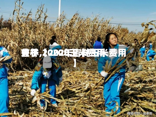 关于【2020玉米费用吉林,2020年吉林玉米费用】