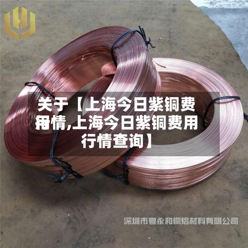 关于【上海今日紫铜费用行情,上海今日紫铜费用行情查询】-第2张图片
