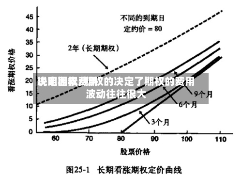 说明期权费用决定因素/期权的决定了期权的费用波动往往很大-第2张图片