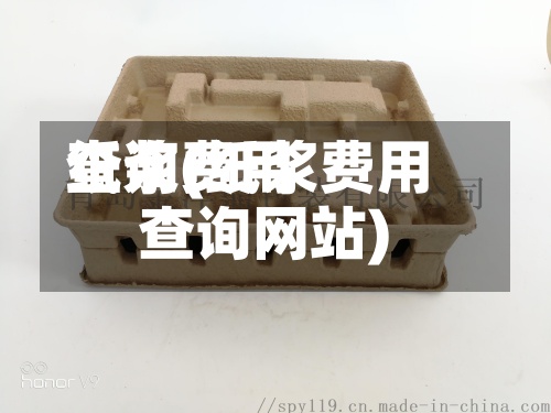 纸浆费用查询(纸浆费用查询网站)