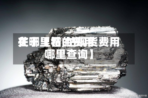 关于【钴的费用在哪里看,钴现货费用哪里查询】-第2张图片