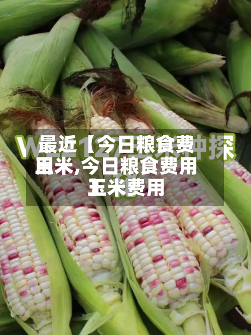 最近【今日粮食费用玉米,今日粮食费用玉米费用】-第2张图片