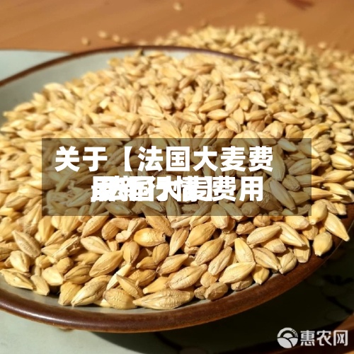 关于【法国大麦费用,法国大麦费用最新行情】