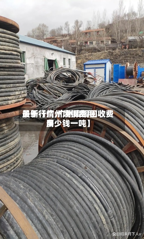 关于【广州废铜费用最新行情,广州废铜回收费用多少钱一吨】-第3张图片