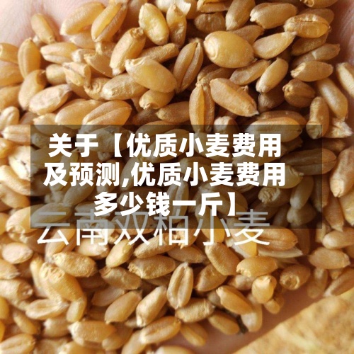 关于【优质小麦费用及预测,优质小麦费用多少钱一斤】-第2张图片