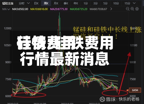 硅铁费用行情/硅铁费用行情最新消息-第2张图片