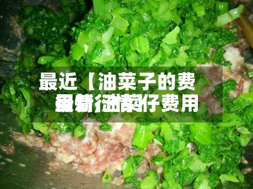 最近【油菜子的费用行情,油菜仔费用最新行情】-第3张图片